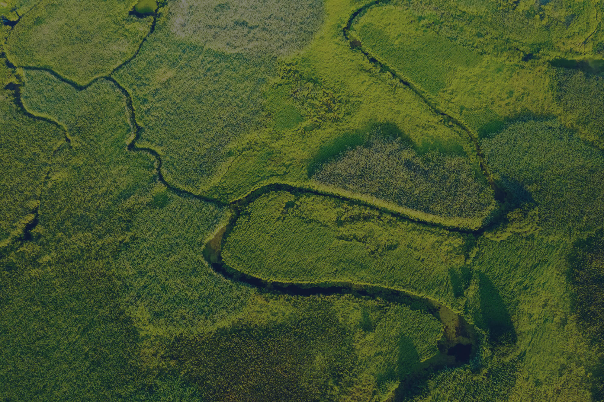 Resources Conestoga Energy